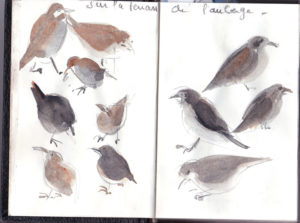 Croquis au quotidien, Sylvie Duriez, Point Fusion Formation