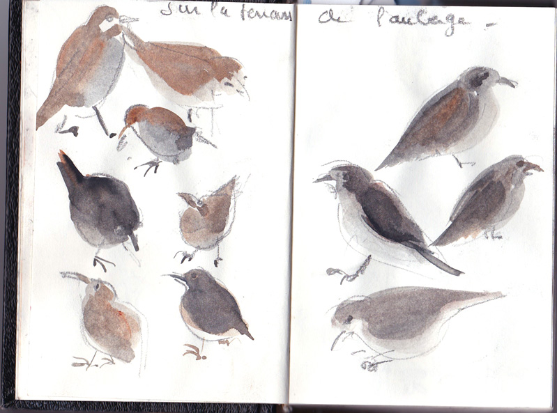 Croquis au quotidien, Sylvie Duriez, Point Fusion Formation
