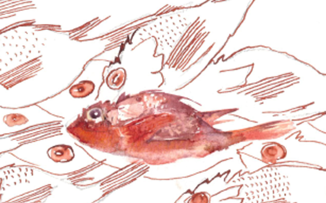 poisson