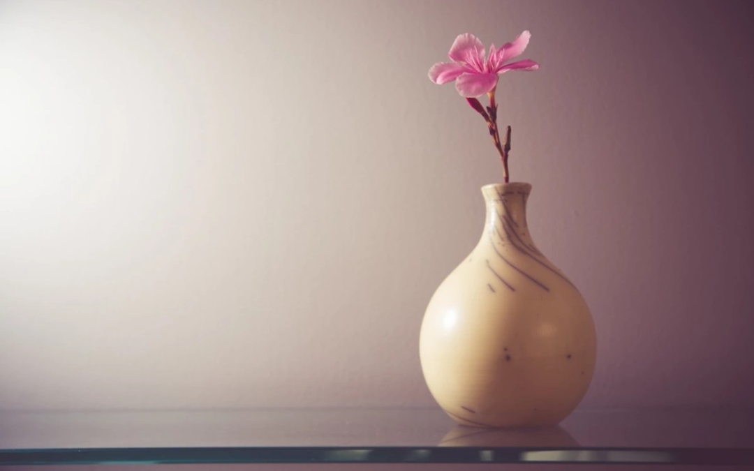 Photographier l’objet / Vincent Agnes / Point Fusion Formation