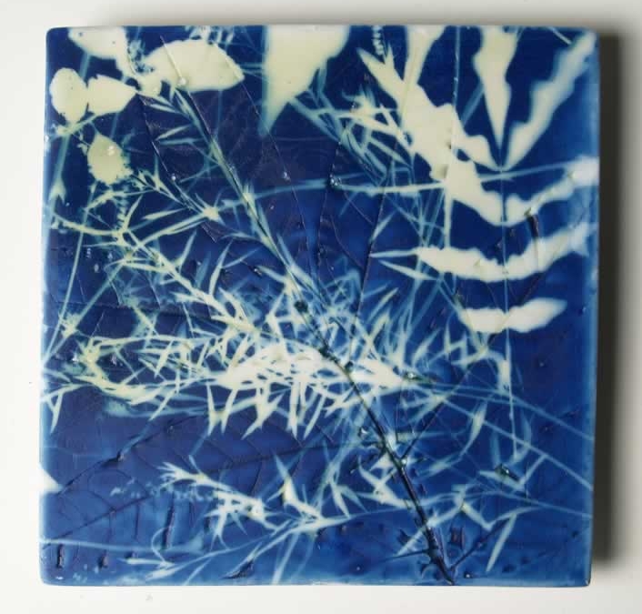cyano